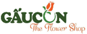 Giới thiệu 22 gau con