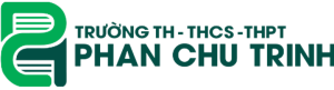 Giới thiệu 9 phan chu trinh